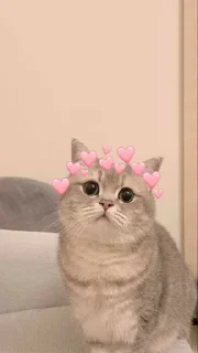 🌸 emoji @AnujSOfficial's Kang Pack Vol.1 Telegram sticker 9 of 92