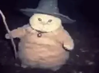 🤔 emoji @JKUser_Bot's Kang Pack Vol.2 (Video) Telegram sticker 18 of 50