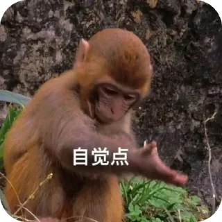 ⭐️ emoji 苹果IOS去广告群组水群专用 Telegram sticker 24 of 93
