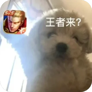 ⭐️ emoji 苹果IOS去广告群组水群专用 Telegram sticker 23 of 93