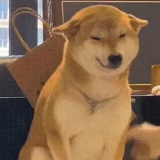 ⭐️ emoji 苹果IOS去广告群组水群专用 Telegram sticker 7 of 93