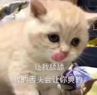 😊 emoji tiger 的贴纸包（0） Telegram sticker 11 of 120