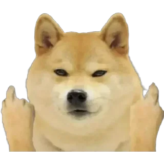 😎 emoji ⸙「 ɪᴛ's ᴍᴇ 𒆜 Aʙɪsʜɴᴏɪ 」🥀s kang pack 2 Telegram sticker 20 of 60
