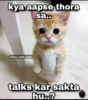 😕 emoji 기적◦( Miracle ) @r_squared_rishabh — @stckrRobot Telegram sticker 22 of 54