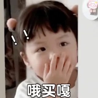 🥳 emoji 定制贴纸 @HGLO6 是宝宝呀 Telegram sticker 19 of 56