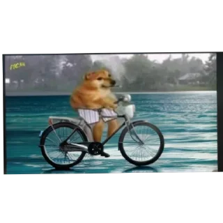 🚲 emoji nigero tmkb Telegram sticker 17 of 120