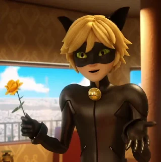 Sticker from Cat noir @Hanim1O