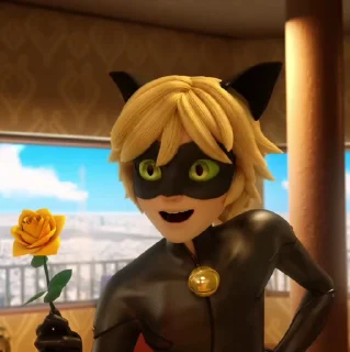 Sticker from Cat noir @Hanim1O