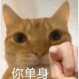 Sticker from 表情包第四弹