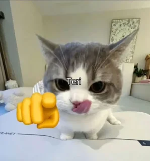 Sticker from ♾️'s sticker kang pack
