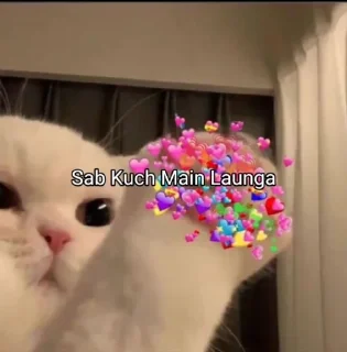 Sticker from ♾️'s sticker kang pack