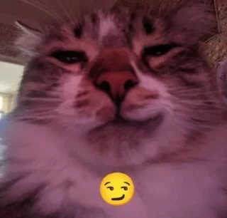 Sticker from котики