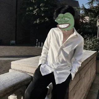 ♻️ emoji pepe   @stickers_gifs_store Telegram sticker 5 of 120