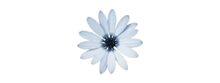 🌊 emoji ✿❁✿    @stickers_gifs_store Telegram sticker 9 of 30