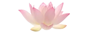 🌷 emoji ✿❁✿    @stickers_gifs_store Telegram sticker 21 of 30