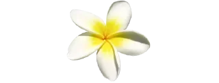 🌷 emoji ✿❁✿    @stickers_gifs_store Telegram sticker 14 of 30