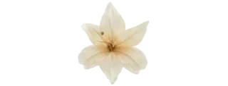 🌷 emoji ✿❁✿    @stickers_gifs_store Telegram sticker 11 of 30