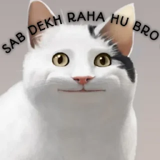 Sticker from DAKSH'S STICKER PACK 🗿