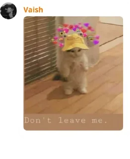 Sticker from Cat pussy cat
