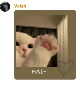 Sticker from Cat pussy cat