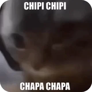 Sticker from Chipi chipi chapa chapa @r_squared_rishabh — @stckrRobot