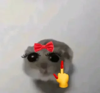 Sticker from Hamster 🐹 🥹