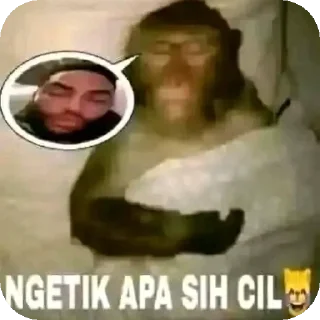 Sticker from IwakBuntal @JonthnT