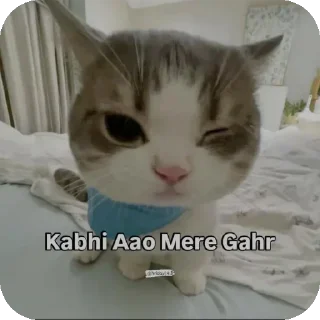 🐱 emoji Dev Wamika Telegram sticker 8 of 96