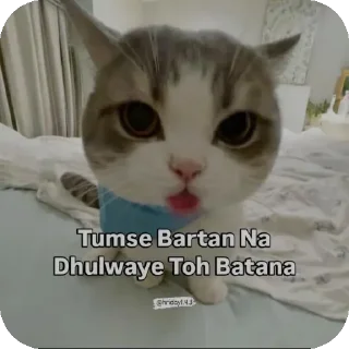 🐱 emoji Dev Wamika Telegram sticker 9 of 96