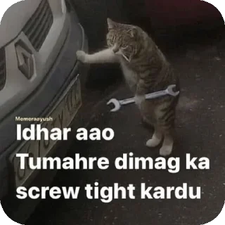 Dev Wamika sticker 4