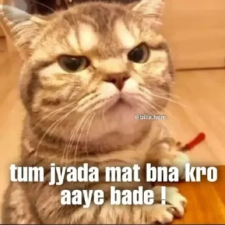 😁 emoji Mela cutu pack🥹😂 @r_squared_rishabh — @stckrRobot Telegram sticker 23 of 76