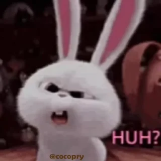🤨 emoji Cutu rabbit 🐇🐰 ❤ @r_squared_rishabh — @stckrRobot Telegram sticker 16 of 50