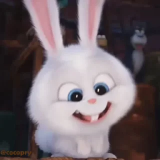 Sticker from Cutu rabbit 🐇🐰 ❤ @r_squared_rishabh — @stckrRobot