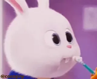 🥴 emoji Cutu rabbit 🐇🐰 ❤ @r_squared_rishabh — @stckrRobot Telegram sticker 13 of 50