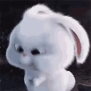 😠 emoji Cutu rabbit 🐇🐰 ❤ @r_squared_rishabh — @stckrRobot Telegram sticker 6 of 50