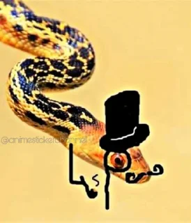 Sticker from SNAKES @animestickerchannel