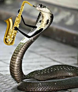 Sticker from SNAKES @animestickerchannel