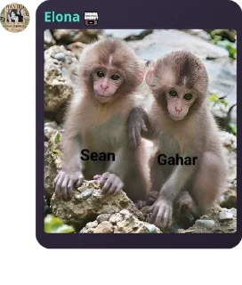 💓 emoji #мвα komunitas gatal dan liyar pack by @QuotLyBot Telegram sticker 5 of 120