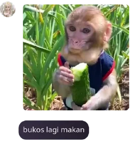 📣 emoji #мвα komunitas gatal dan liyar pack by @QuotLyBot Telegram sticker 18 of 120