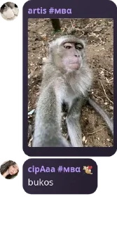 🧑‍🏫 emoji #мвα komunitas gatal dan liyar pack by @QuotLyBot Telegram sticker 15 of 120