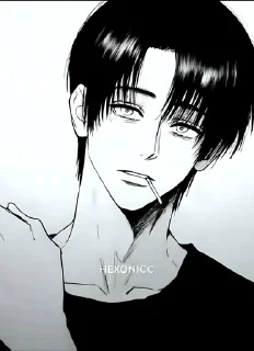 🙂 emoji EREN♡🕊️'s sticker pack (@Mikasa_Ackr_bot) Telegram sticker 15 of 21
