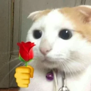 🌹 emoji di buat oleh @Tiramisyouuuuyy Telegram sticker 20 of 20