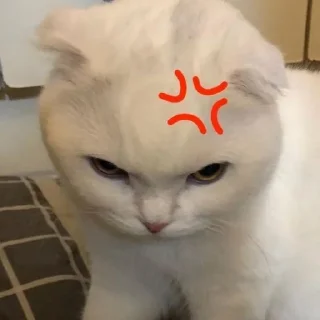 💢 emoji di buat oleh @Tiramisyouuuuyy Telegram sticker 17 of 20