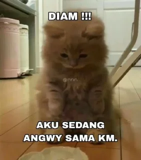 😾 emoji di buat oleh @Tiramisyouuuuyy Telegram sticker 4 of 20