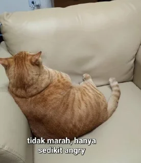 😾 emoji di buat oleh @Tiramisyouuuuyy Telegram sticker 2 of 20