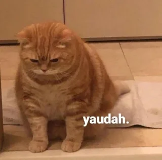 😿 emoji di buat oleh @Tiramisyouuuuyy Telegram sticker 1 of 20