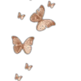 🌟 emoji Butterfly 🦋 ⃝⃪𐏓 :: @MrUnknownS Telegram sticker 11 of 21