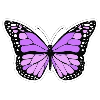 🌟 emoji Butterfly 🦋 ⃝⃪𐏓 :: @MrUnknownS Telegram sticker 20 of 21
