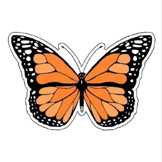 🌟 emoji Butterfly 🦋 ⃝⃪𐏓 :: @MrUnknownS Telegram sticker 19 of 21