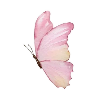 🌟 emoji Butterfly 🦋 ⃝⃪𐏓 :: @MrUnknownS Telegram sticker 10 of 21